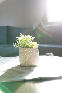 Bright and central apartment - 7