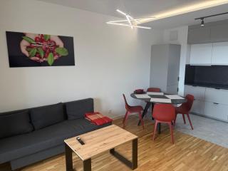 Apartament Sweet Harmony- kulturalne centrum Łodzi- Free parking&Atlas&Zoo&Fala - 6