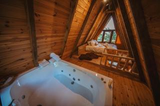 Alpha Bungalov - - 3