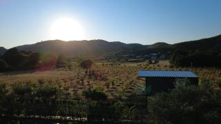 Orchard Guard Tower - - 0