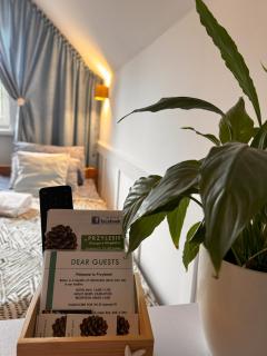 Pokoje Gościnne Przylesie - 3