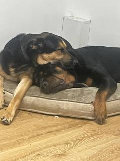 Room close to City and Hospital - Cardiff - 1