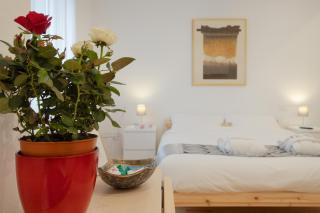 Alexander's Nest - Trieste - 4