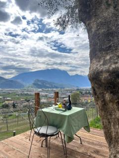 Agriturismo Maso le 4 stagioni - Arco - 1