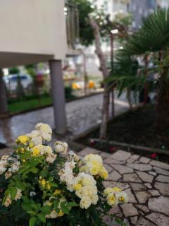 Eli Apartments - Ohrid - 9
