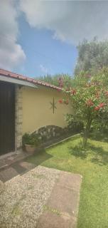 B&B Casa Vacanze Marcella - Palinuro - 9