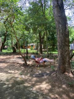 Forests for People Nidikumba - Tanamalwila - 4
