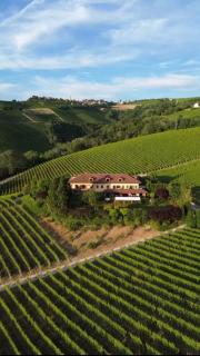 Tenuta Baràc - 5