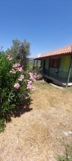 Cute House with mountain views - - 8
