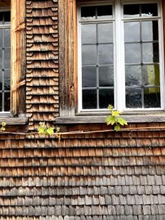 Idyllische Wohnung im historischen Dorfhaus - - 7