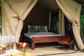 Dolly Farm & River Camp, Luxury Tents - 2
