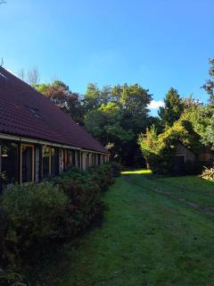 B&B Buitengewoon - Fochteloo - 4