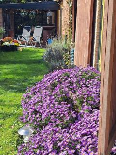 B&B Buitengewoon - Fochteloo - 3
