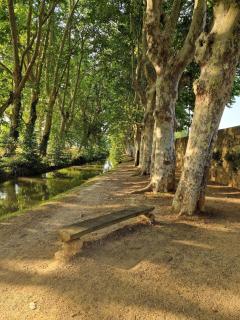 L'escale de l'Avenue - Carcassonne - 7