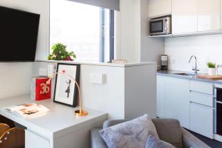 Student Only, Bronze Studio Upper Level Highbury Residence I - 6