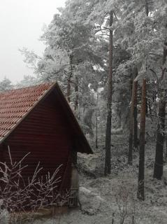 Šumska kuća Nada - Divčibare - 2