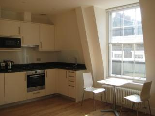 LUX Flat Central London 3 Min to Holborn Station - Londres - 7