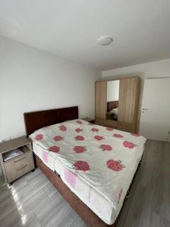 Lili's Cozy Apartment - Pristina - 5