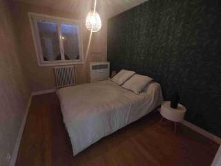 Le jardin aux iris - 1