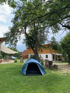 ReziPava Camping - Zăbala - 8