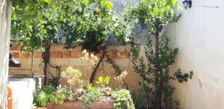 Casa BLU - Torre Squillace - 8