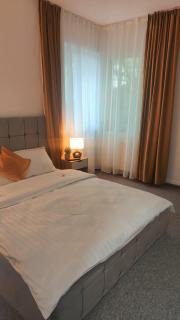 Baroc Boutique Hotel - Topliţa - 9
