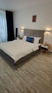 Baroc Boutique Hotel - Topliţa - 6