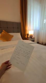 Baroc Boutique Hotel - Topliţa - 5