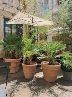 Le Clos du rouet - Tarascona - 3