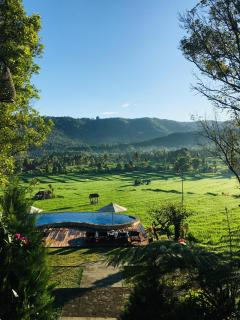 MAYURA BALI VILLA - 0