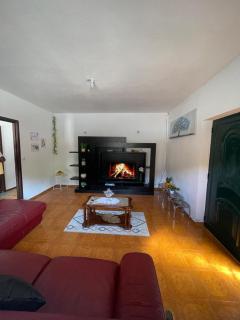 Casa Refúgio do Douro - Baião - 8