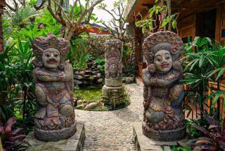 Melati bali - 5
