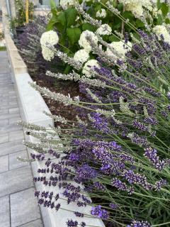 Wohnglück Nentershausen - 4