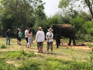 Forests for People Nidikumba Safari - 0