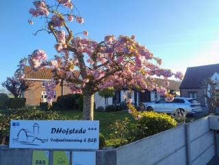 DHofstede vakantiewoning - Oudenaarde - 0