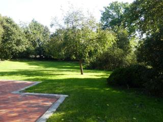 Rosenkate - 1