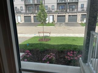 Private Room in Stratford Townhome - 5