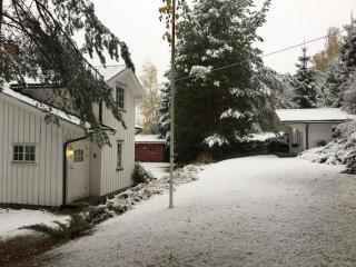 Welcome to Dalborg, only 1,5 hours from Oslo - 2