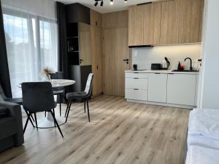 Albian Apartamenty - Jantar - 4