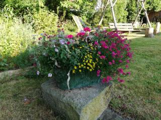 Lichtenhainer Hof - Lichtenhain - 7