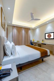 Hotel Luxury Suites - Nueva Delhi - 5