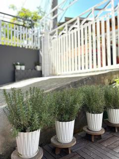 HOM homestay - Da Lat - 4