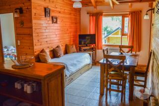Apart Hotel Tierra Nativa - San Martín de los Andes - 1