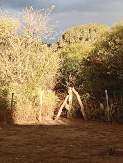 El Andaluz - 6
