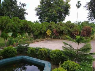 Aranyak Nature's Pride - 2