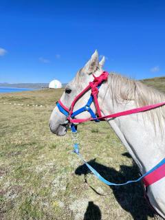 Son-Köl Glamping - Song-Kul - 8
