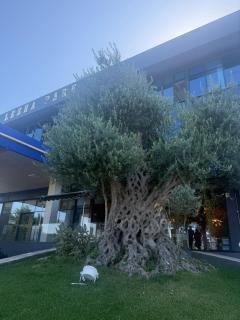 Hotel Lezha Park - Ishull-Lezhë - 9