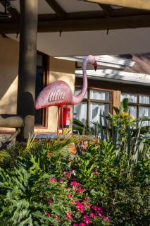 Naivasha Crescent Lodge - 8