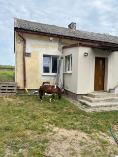 KOCIEWSKA CHATA Z GLINY -  - 2