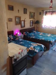 Retro House - Bečej - 9